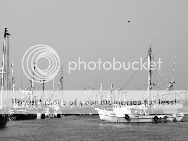 IMAGE: http://i939.photobucket.com/albums/ad231/gopherm/ScallopBoatBW.jpg