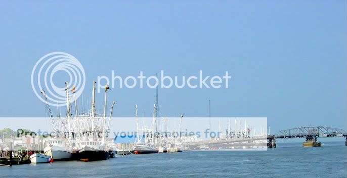 IMAGE: http://i939.photobucket.com/albums/ad231/gopherm/ScallopBoatPanny.jpg