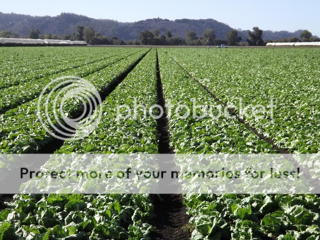  photo DSCF1667_zps0f883ed0.jpg