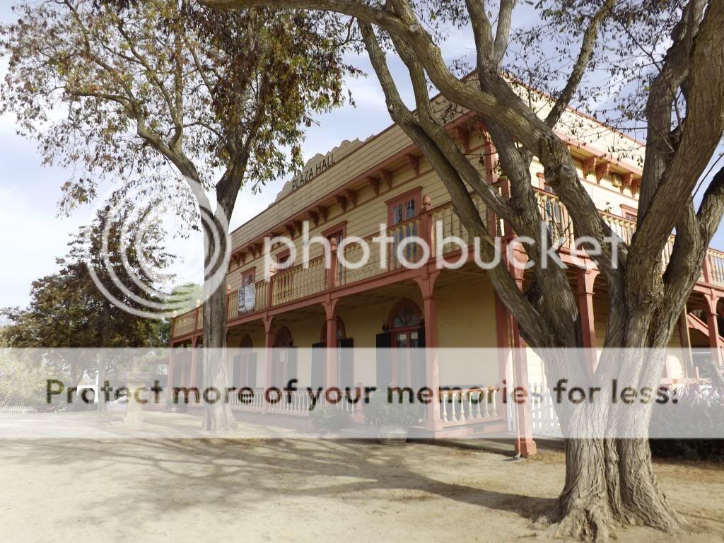  photo DSCF1683_zps5e93b69e.jpg