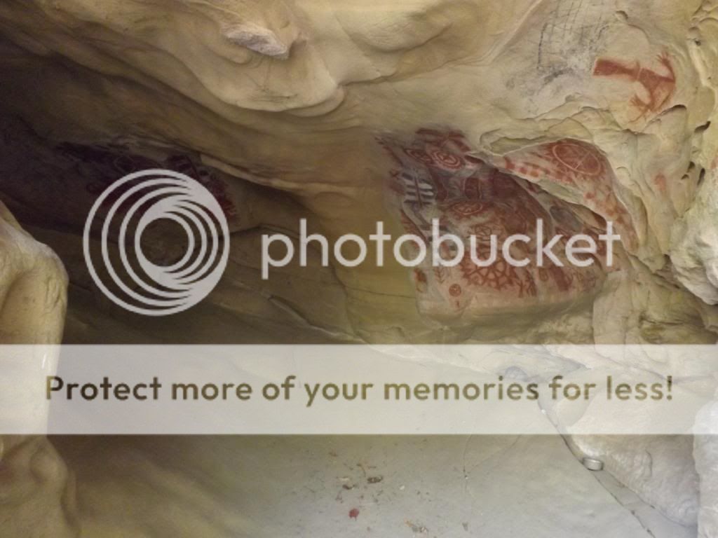  photo DSCF2395_zps287ed0e8.jpg