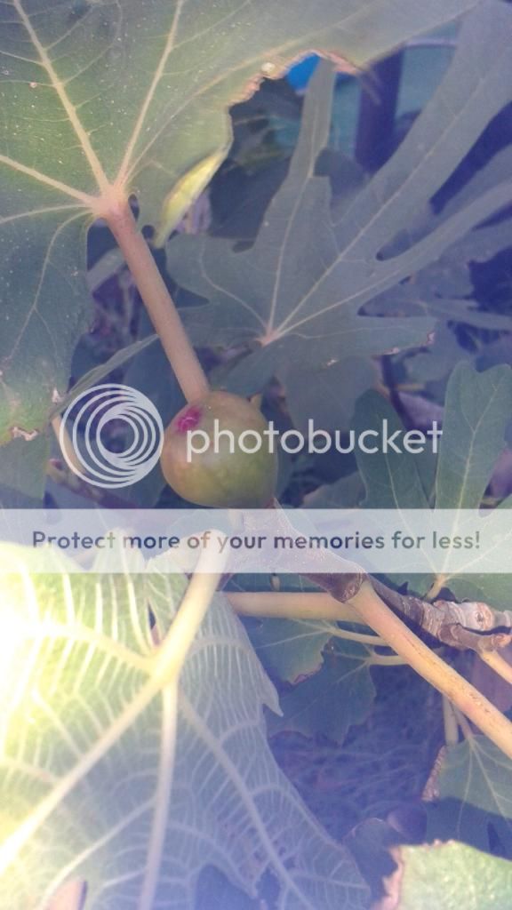 [20140516_201016_zpszqd6iysb]