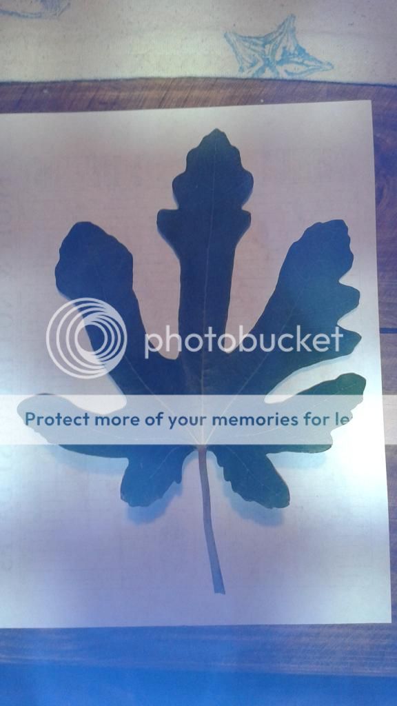 [20140516_201312_zpsa8rtfvby]