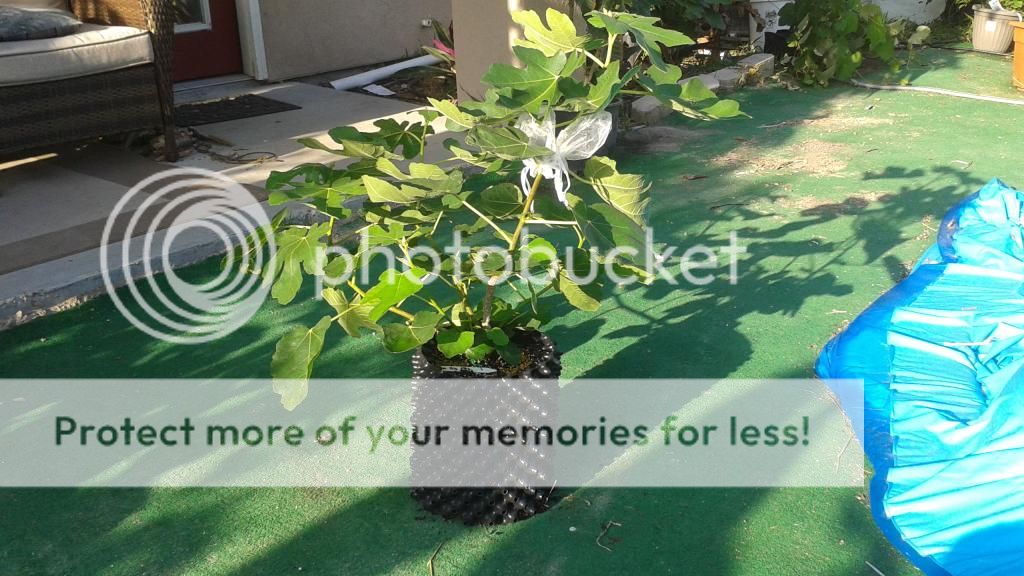 [20140610_184714_zpslrxt5mdj]