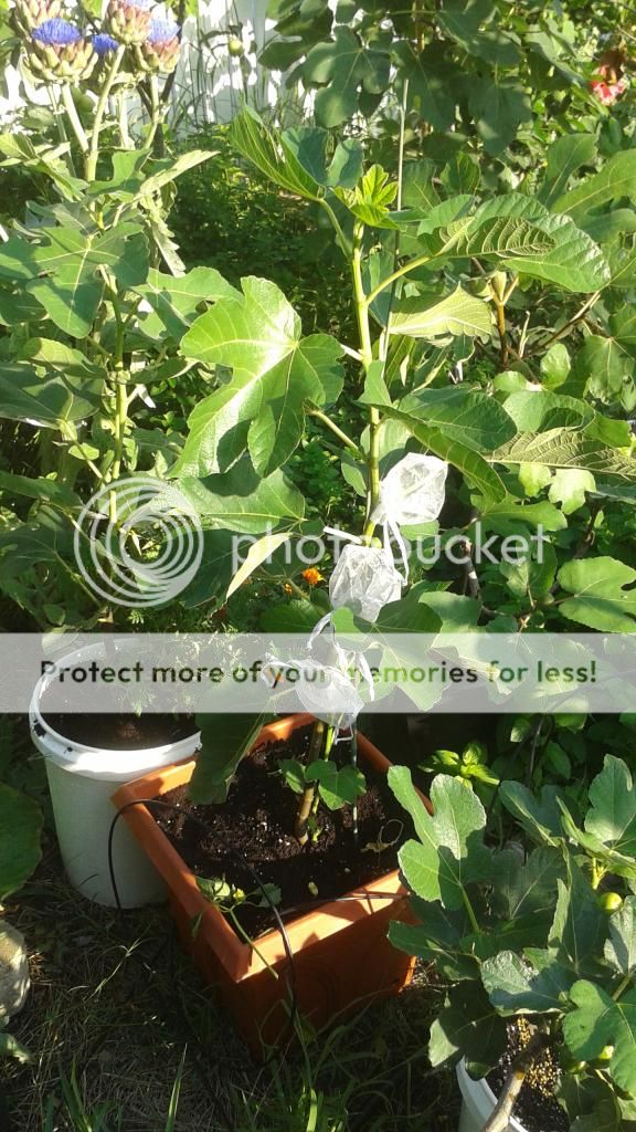 [20140610_185819_zpspsrvpmqc]