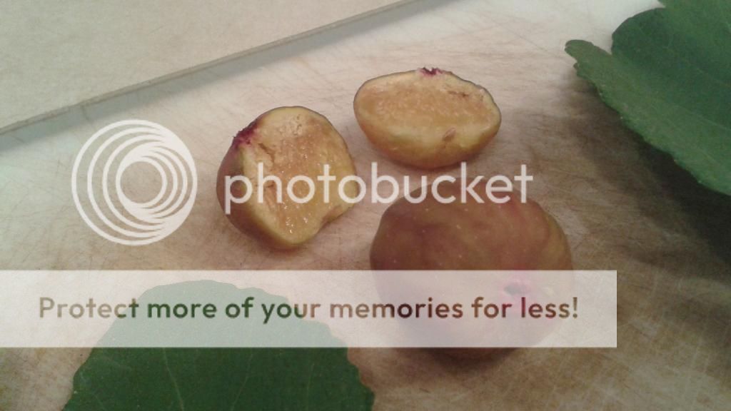 [20140704_082000_zps8tnwrzow]