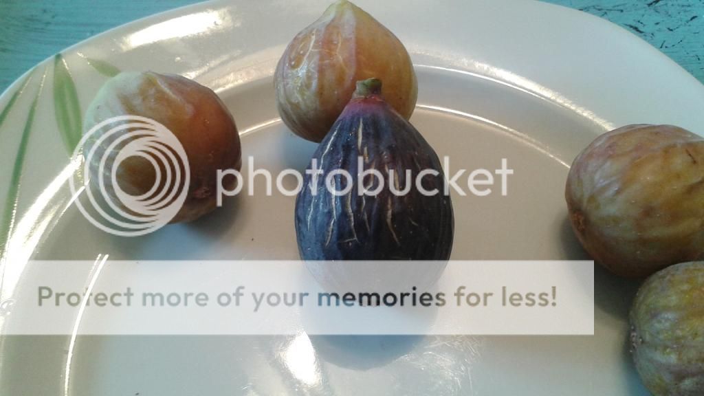 [20140707_152813_zpsptcyklil]