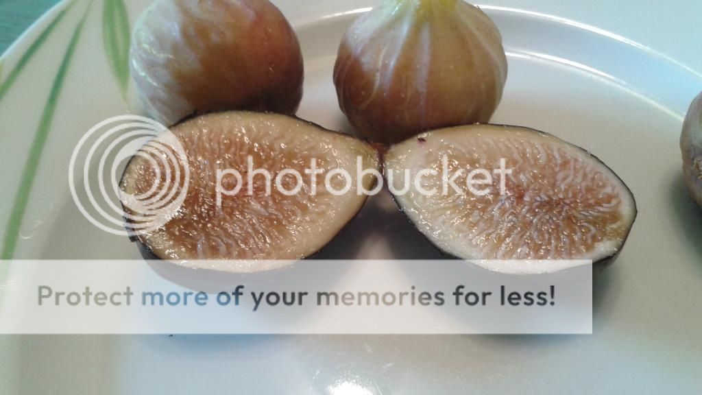 [20140707_152852_zpsc99ihp8i]