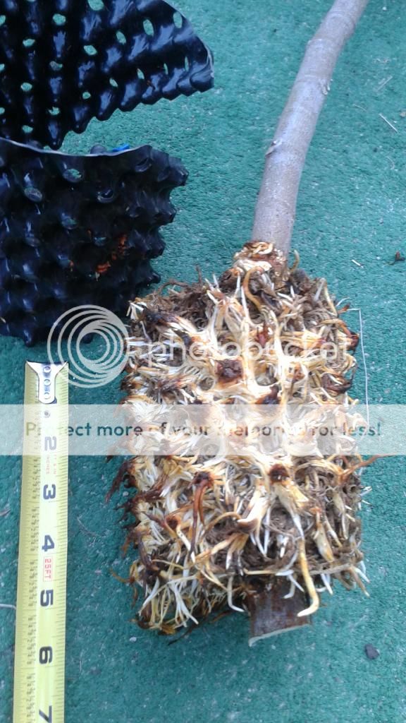 [20140727_195545_zpskrfvuhor]