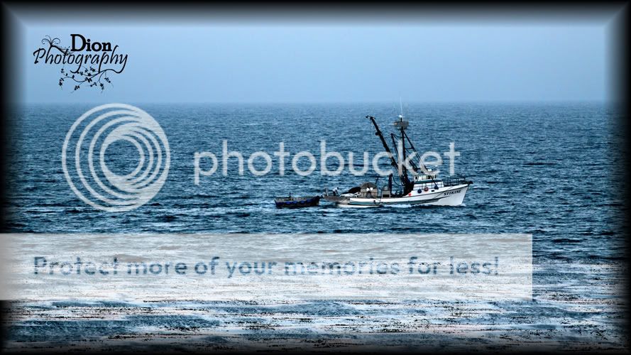 IMAGE: http://i939.photobucket.com/albums/ad235/apctool37/internet%20pics/i22.jpg