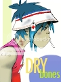 dryb.png