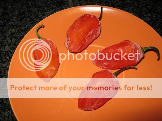 Posted Image