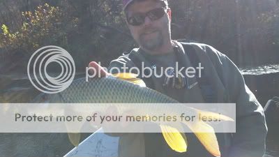 flyflingers2011313.jpg