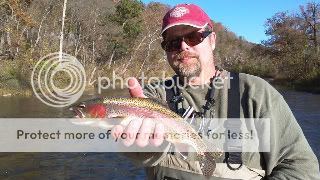 flyflingers2011315.jpg