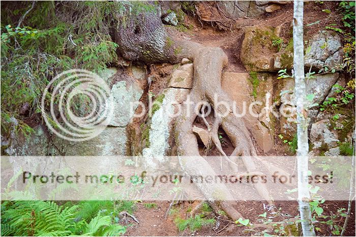 Валаам часть вторая. Отдыхательная Photobucket