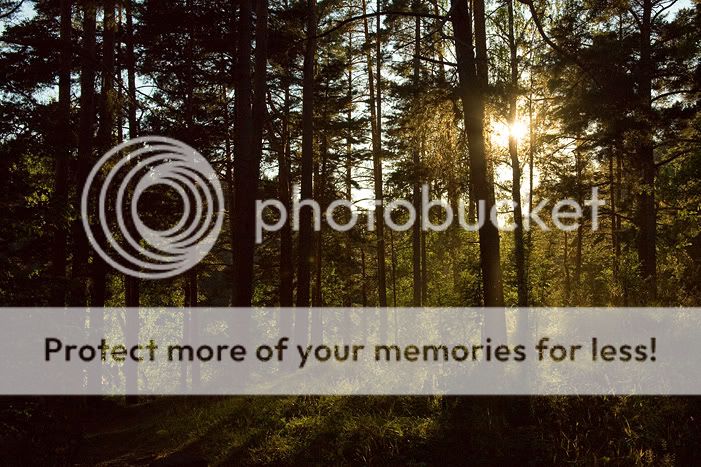 Валаам часть вторая. Отдыхательная Photobucket