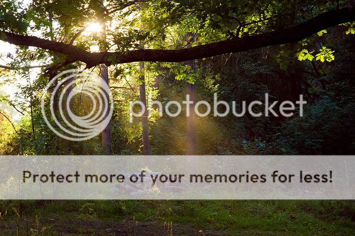 Валаам часть вторая. Отдыхательная Photobucket