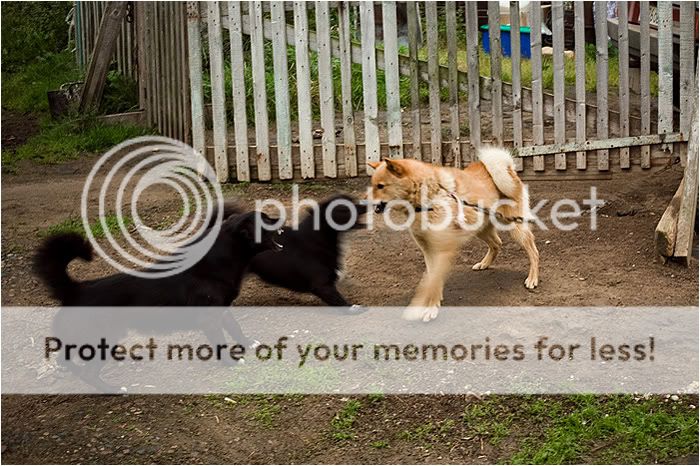 Валаам часть вторая. Отдыхательная Photobucket