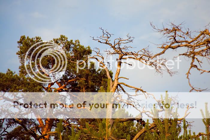 Валаам часть вторая. Отдыхательная Photobucket