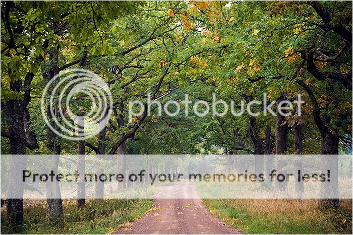 Валаам часть вторая. Отдыхательная Photobucket