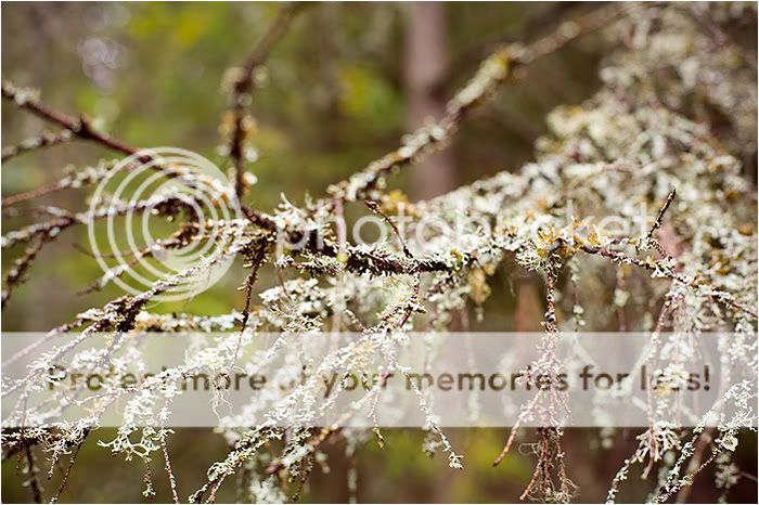 Валаам часть вторая. Отдыхательная Photobucket