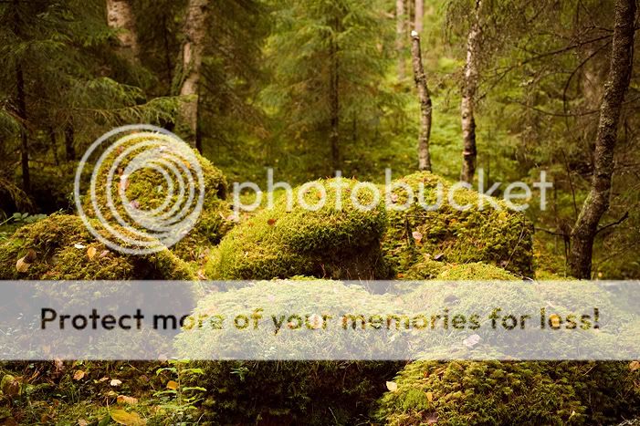 Валаам часть вторая. Отдыхательная Photobucket