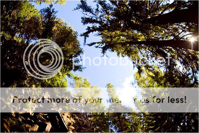 Валаам часть вторая. Отдыхательная Photobucket