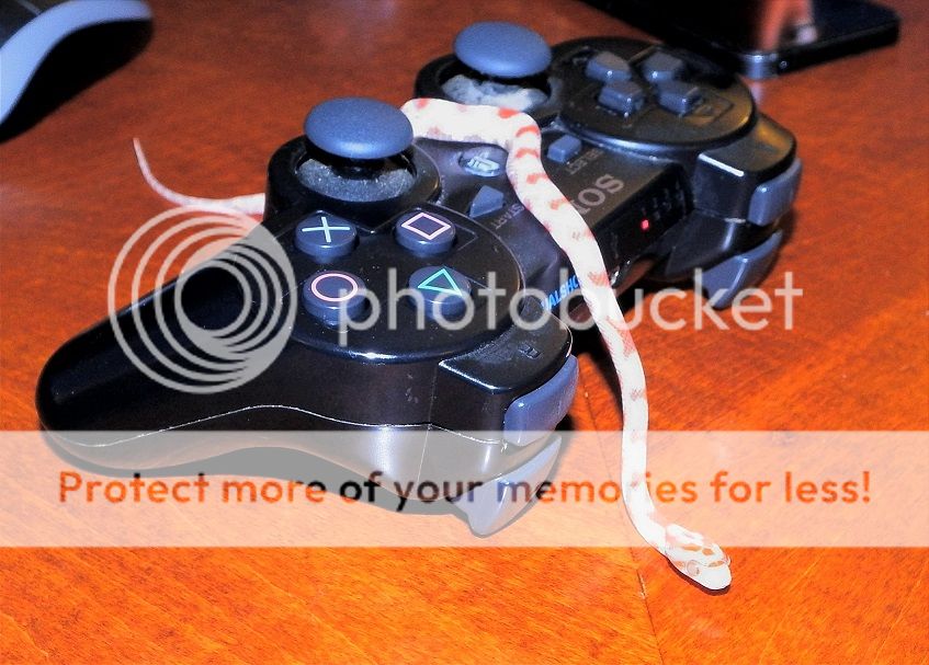 q4_zps4d717c95.jpg