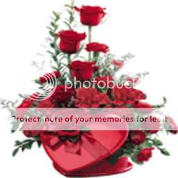 red flowers Pictures, Images and Photos