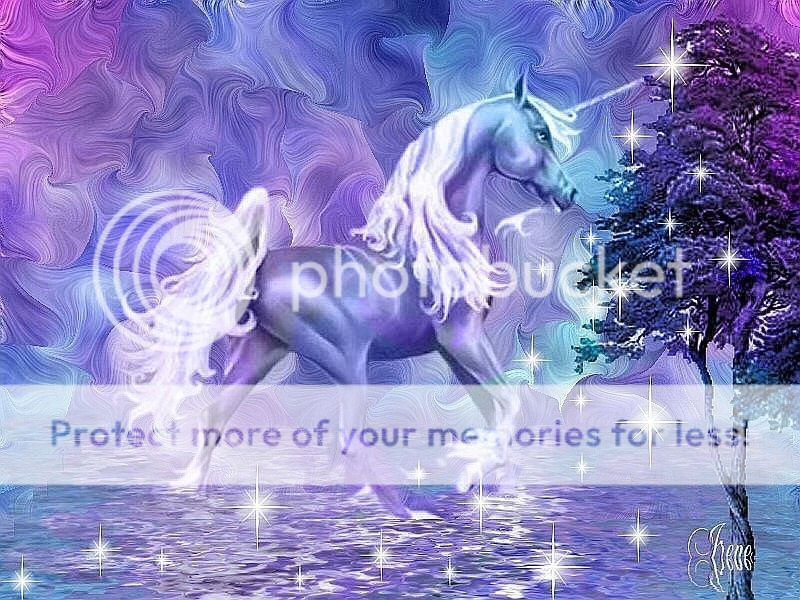 Fantasy-unicorn-unicorns-13991992-800-600.jpg